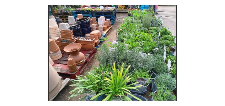 Hill View Farm - plants and pots