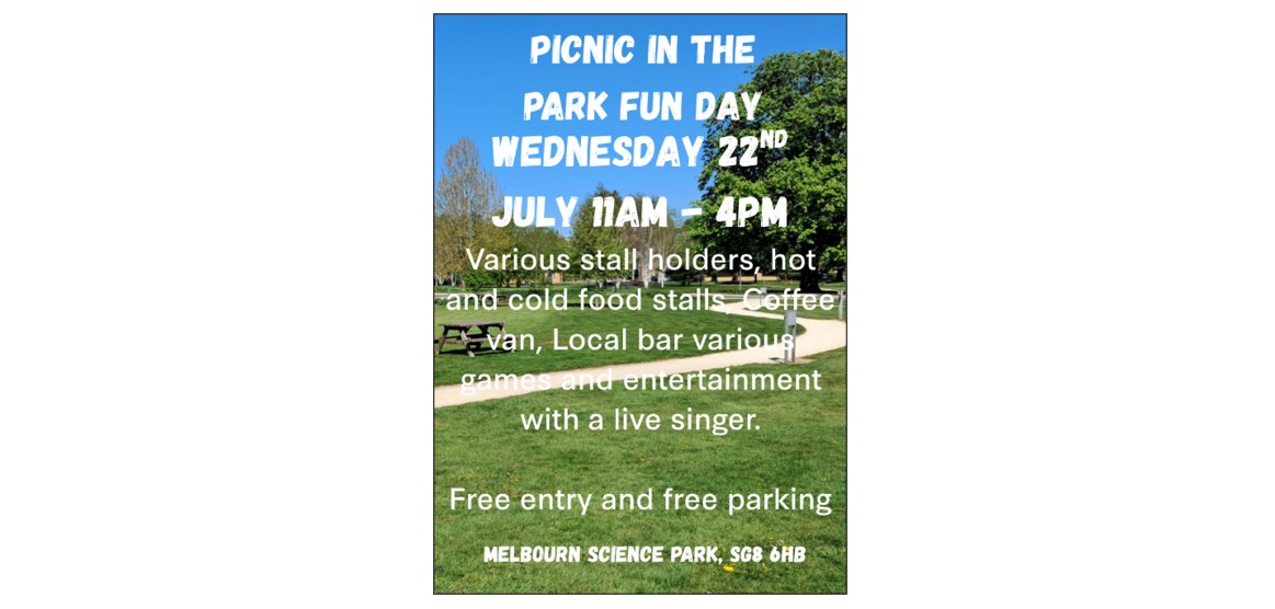 Picnic in the Park Fun Day