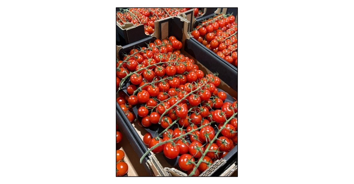 The Gransdens Farmers Market - tomatoes