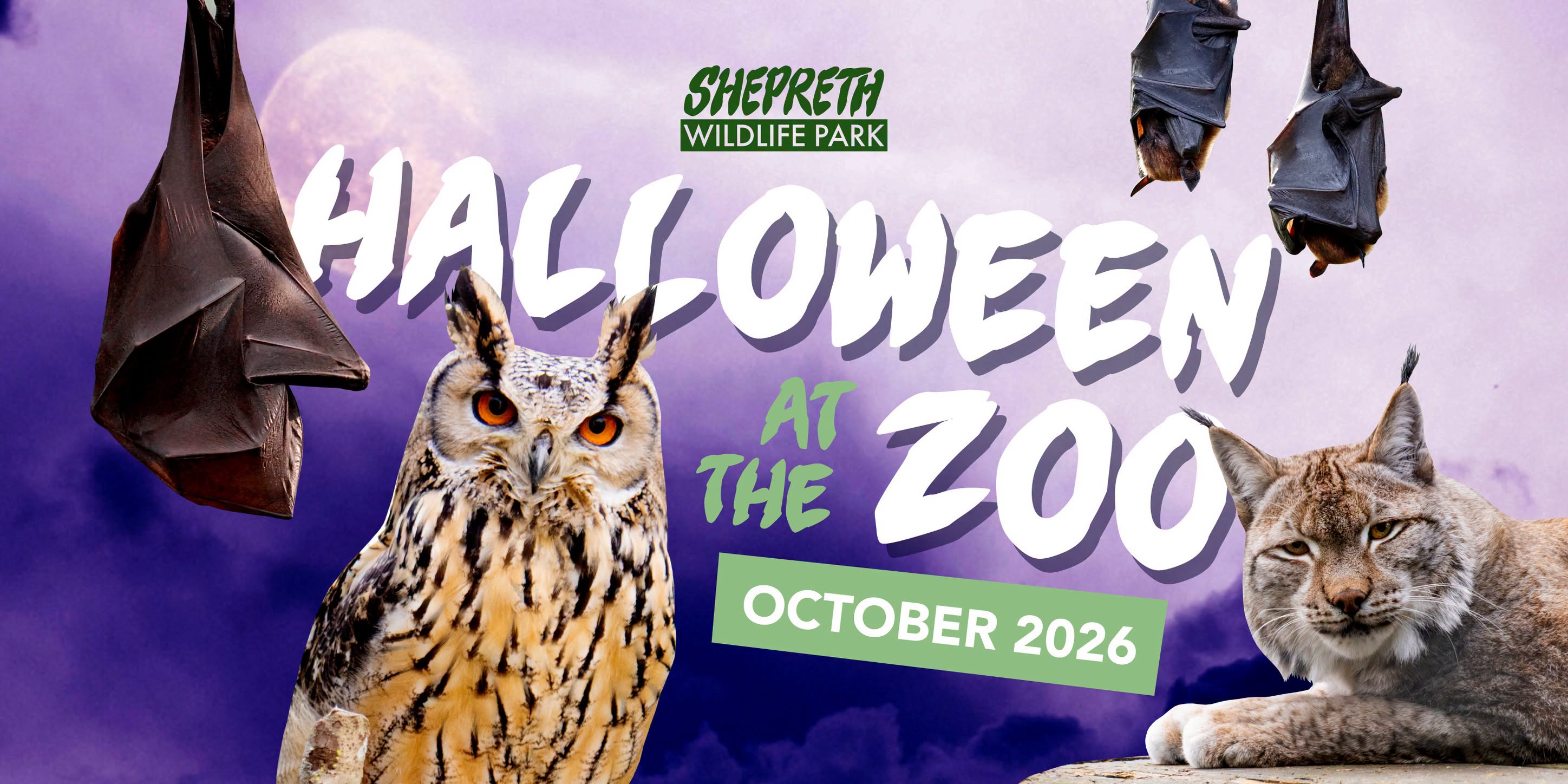 Halloween at the Zoo