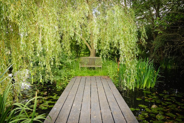 Green End Farm Open Garden
