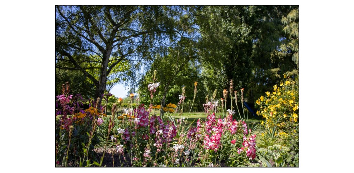 The Manor Dairy - Garden in Bloom