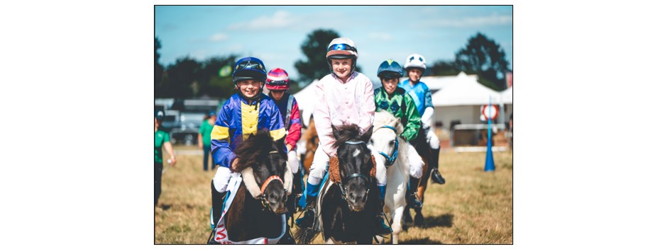 The Cambridge Country Show - horses