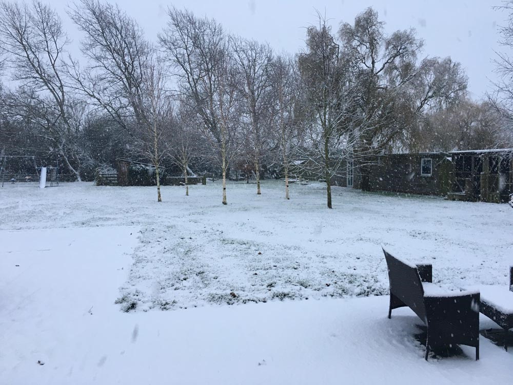 The Poplars bed and Breakfast, winter garden