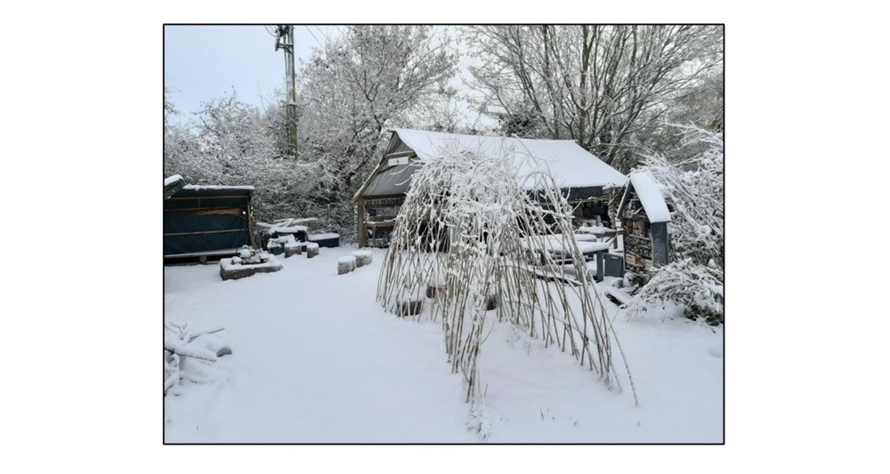 Wildly Curious - snow scene