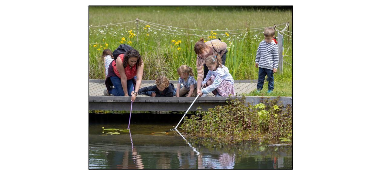 Wandlebury Wildlife Day