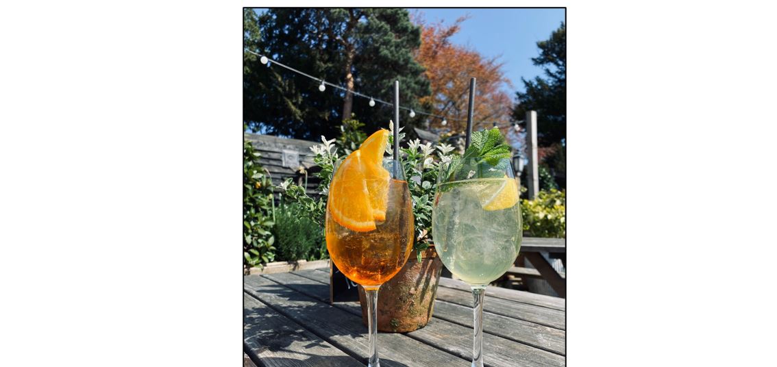 The Boot - garden drinks