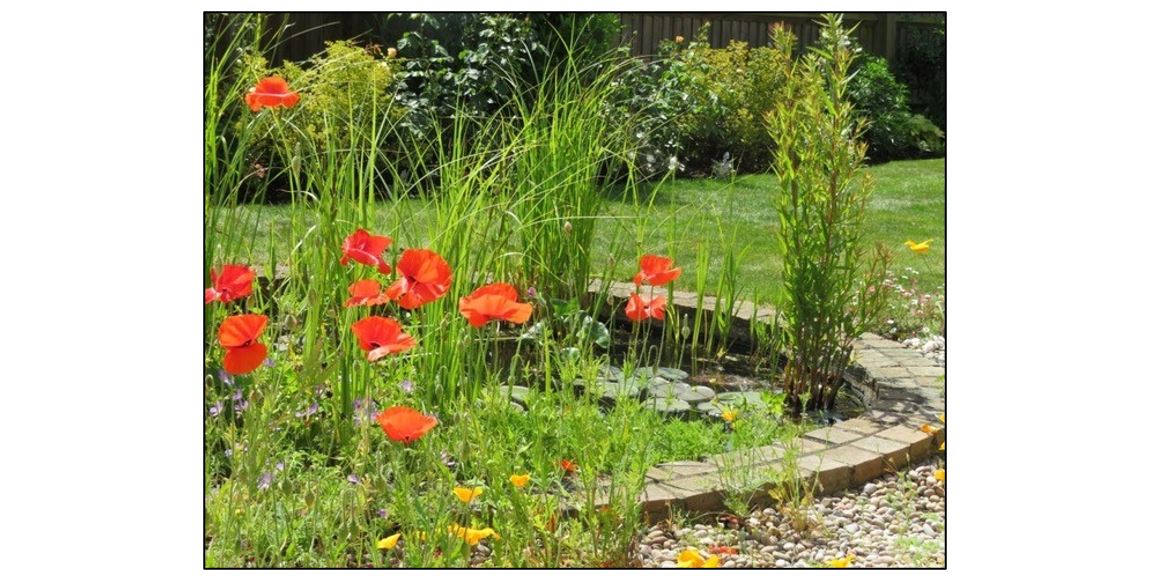 Cambourne Gardens - Langate Green