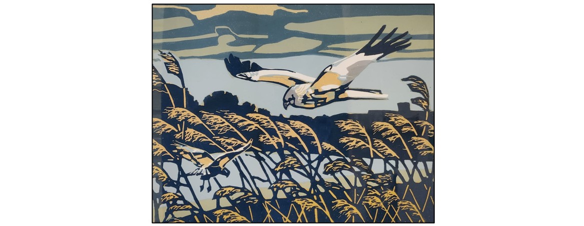 Exhibition - Artists in the Natural World - bird in flight