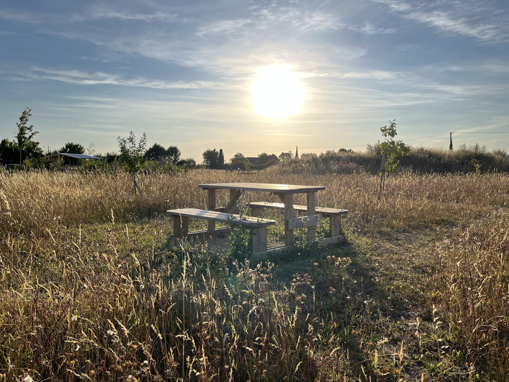 Bench