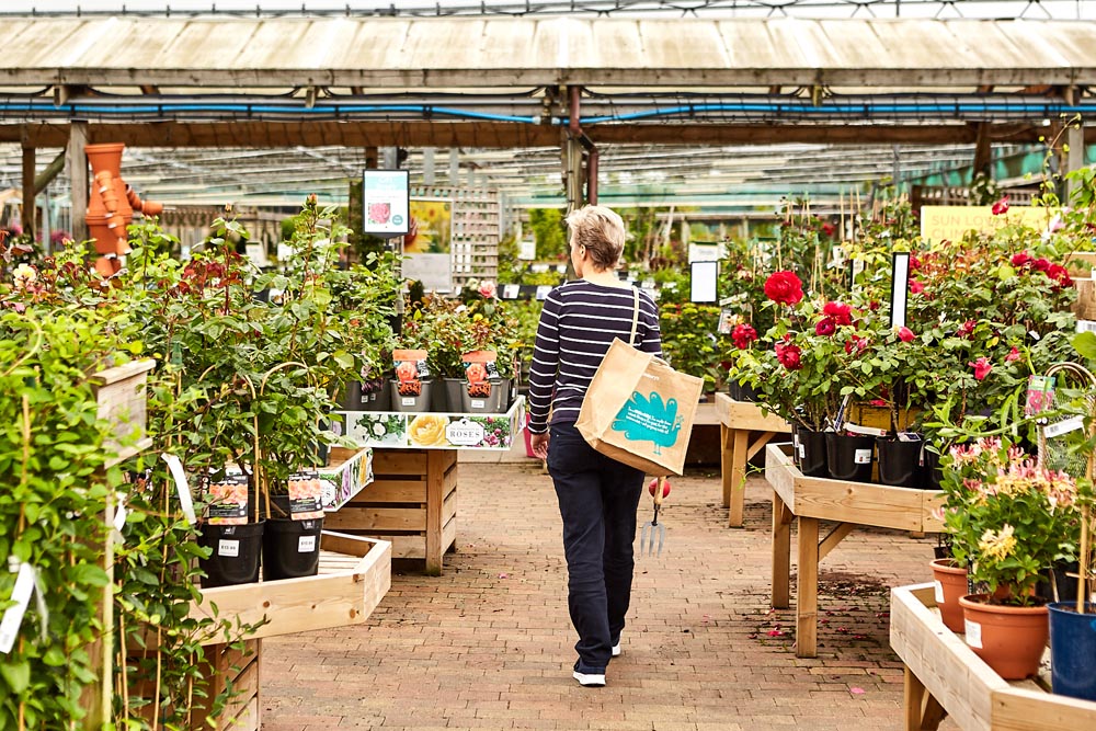 Scotsdales Garden Centre, Interior Plant Area