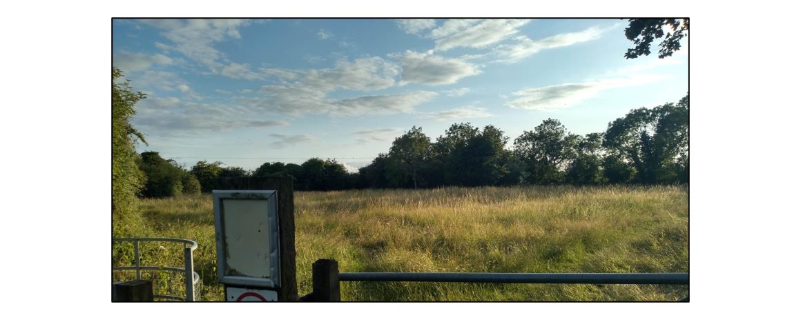 Town End Close Nature Reserve