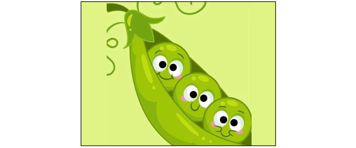 Teversham Peafeast Teversham Peafeast Teversham Peafeast Teversham Peafeast Teversham Peafeast Teversham Peafeast