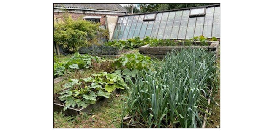 The Mary Challis House and Garden - greenhouse