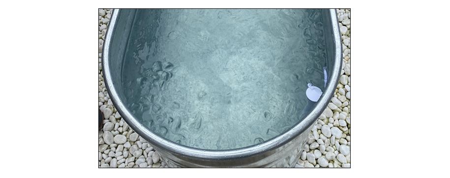 Ice Bath, Breathing Workshop and Spa - Ice Bath