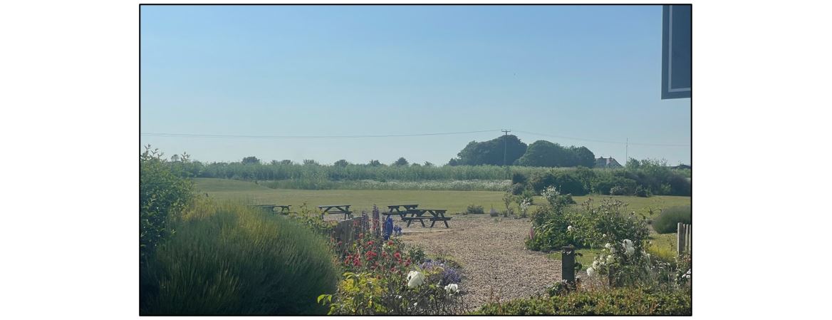 Coach House Hotel - garden