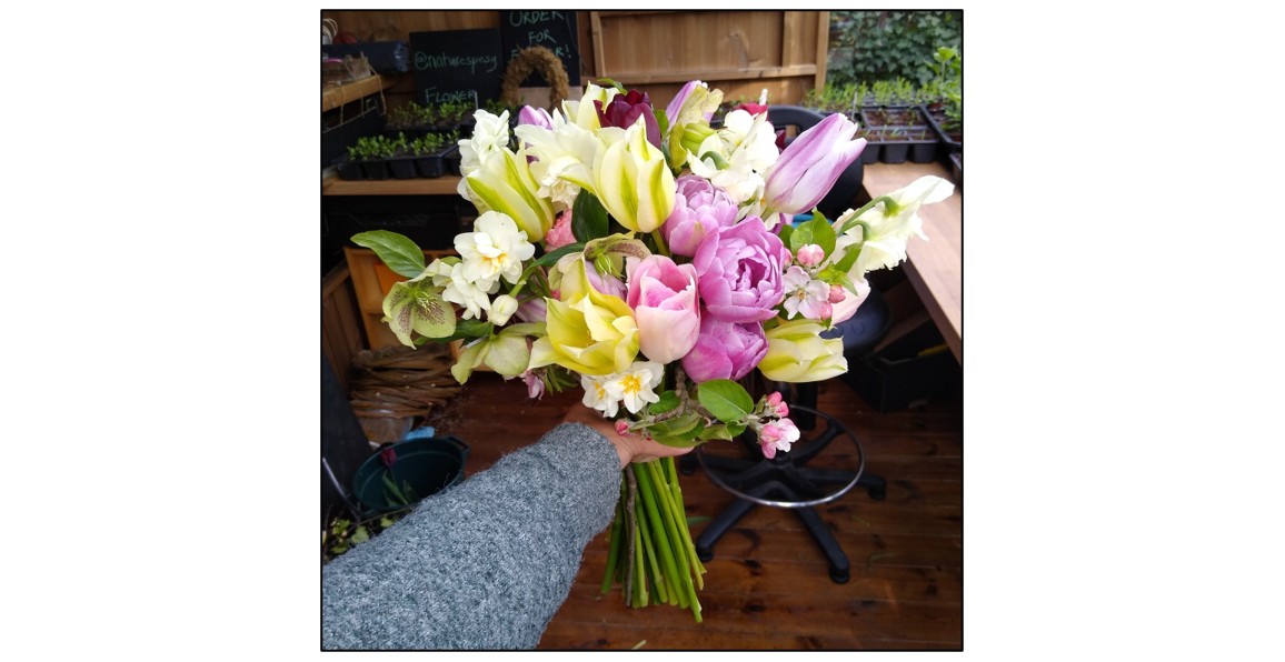 Nature's Posy