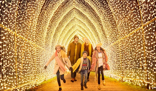 Illuminated Christmas Trail at Wimpole National Trust Estate