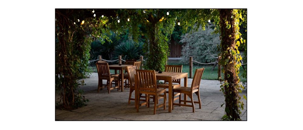 The Six Bells - garden