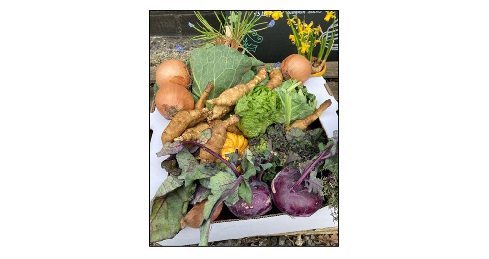 Flourish Farm Shop - Veg Box