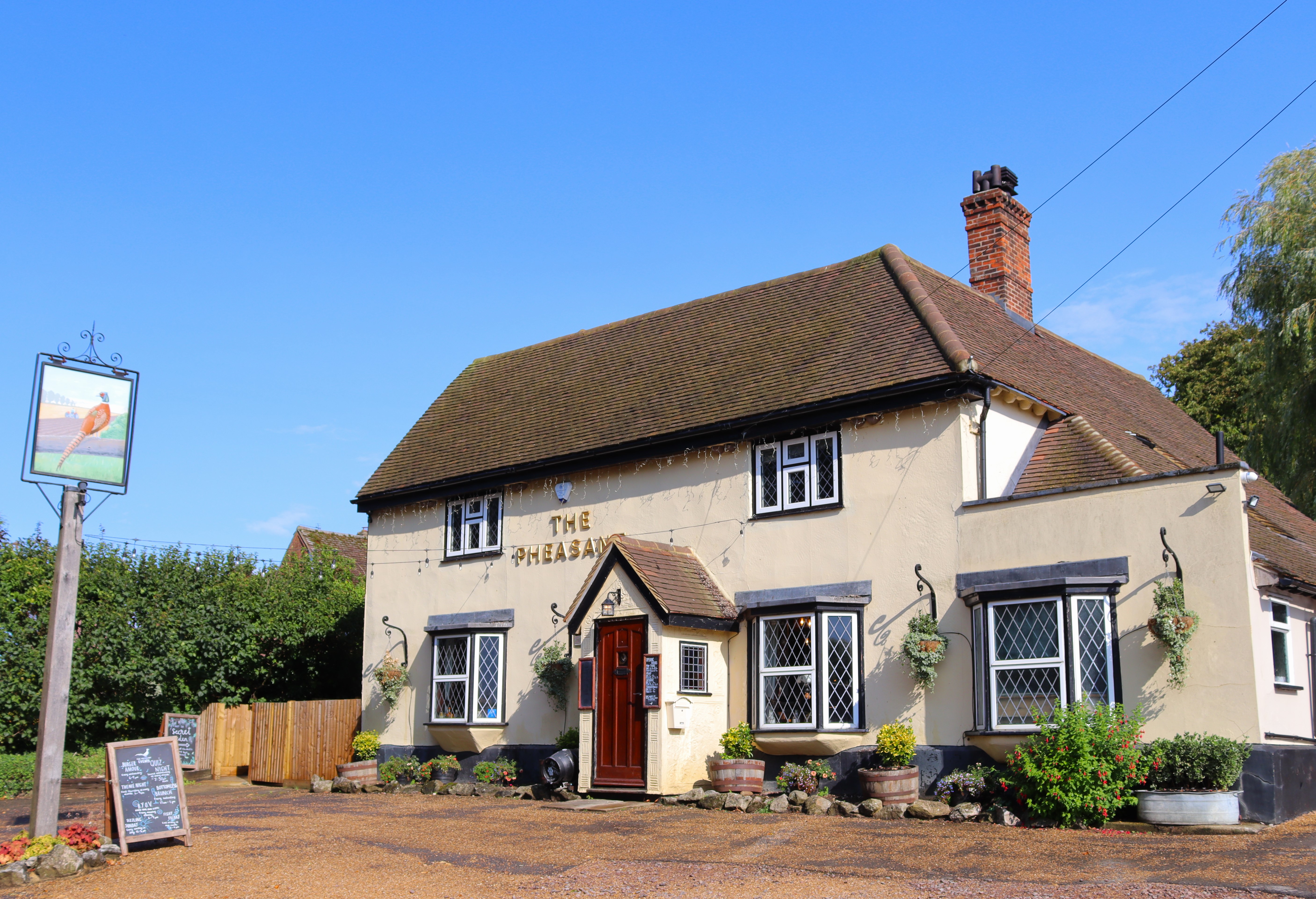 The Pheasant