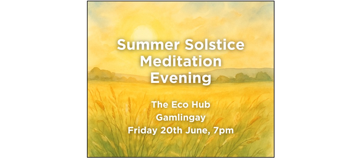 Summer Solstice Meditation Evening