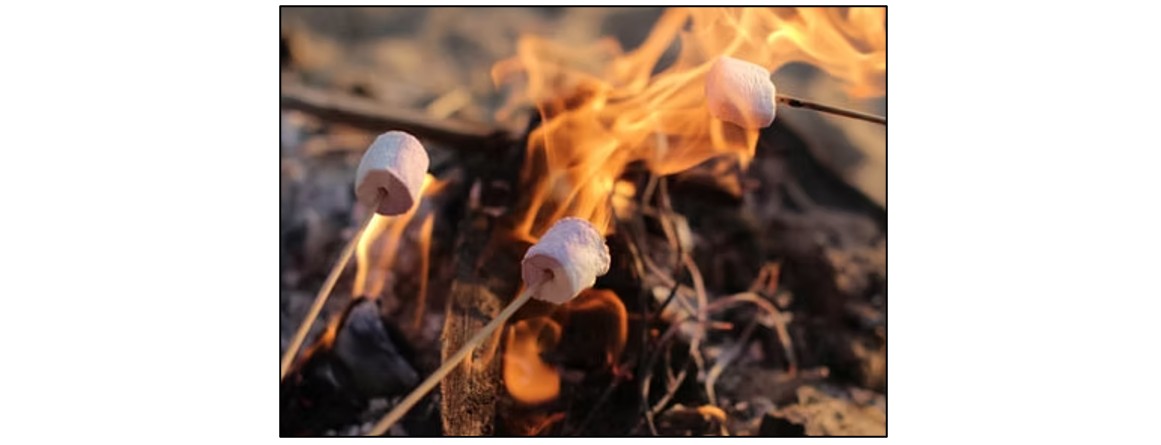 Den Building & Marshmallow Roasting