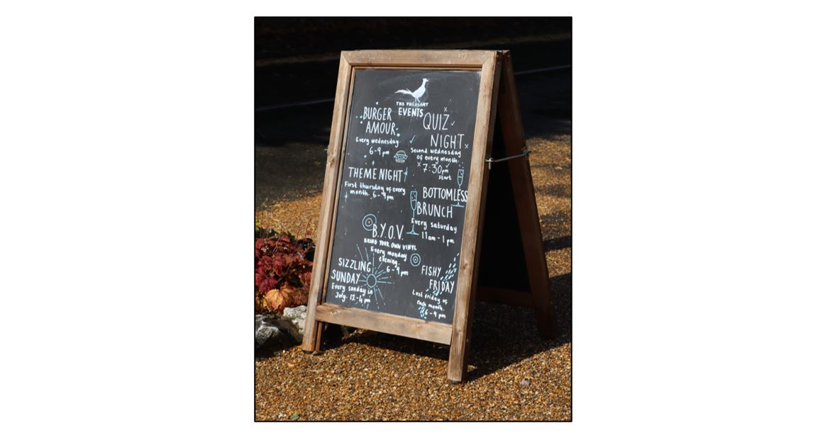 The Pheasant - board