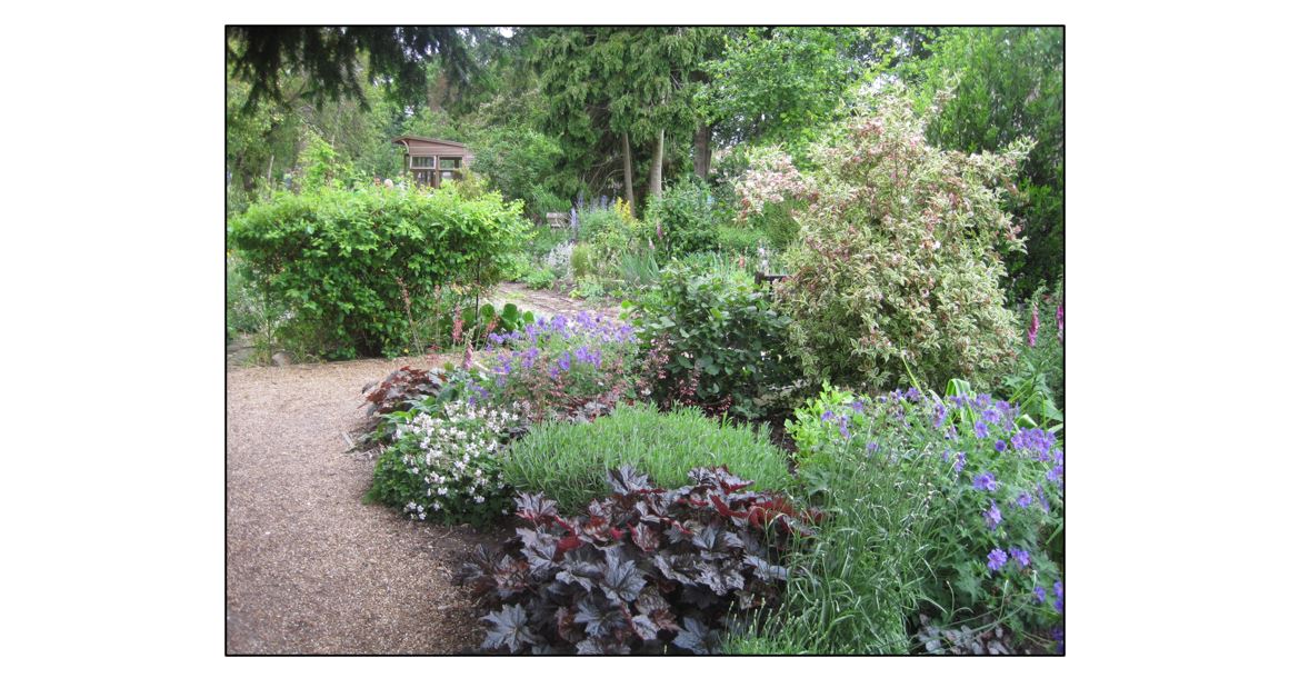 Sawson Gardens - National Garden Scheme