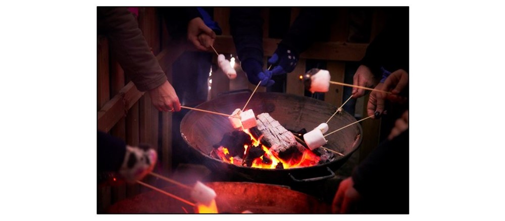 Christmas Illuminations Trail at Wimpole  marshmallows