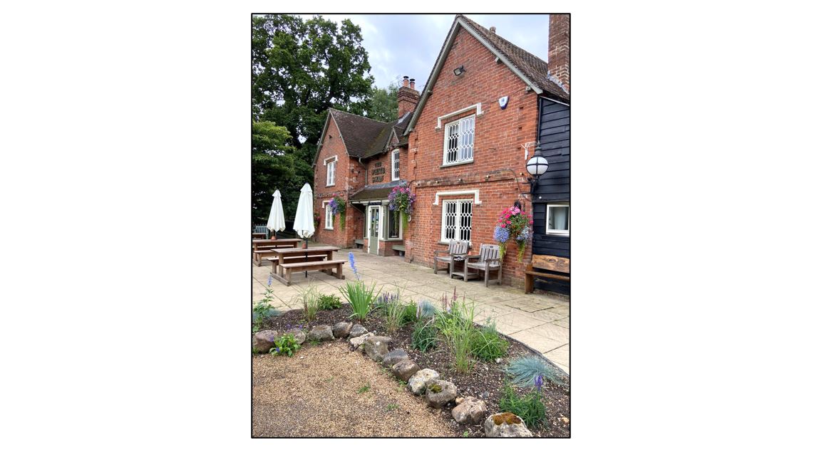 The White Swan