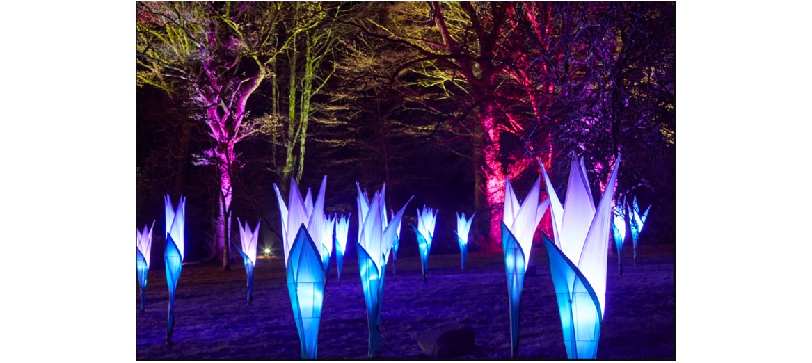 Christmas at Wimpole