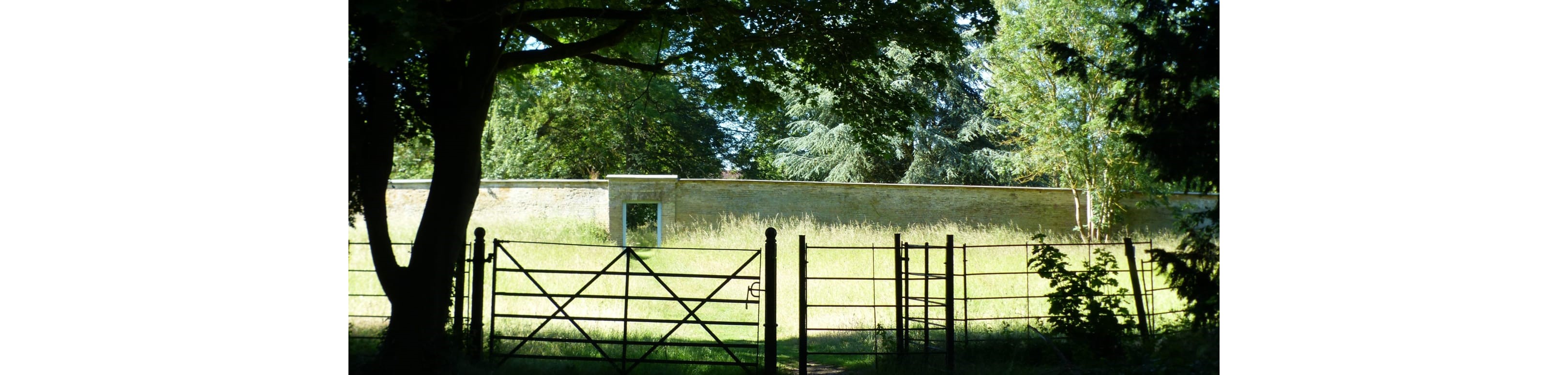Guided Walk around Wandlebury