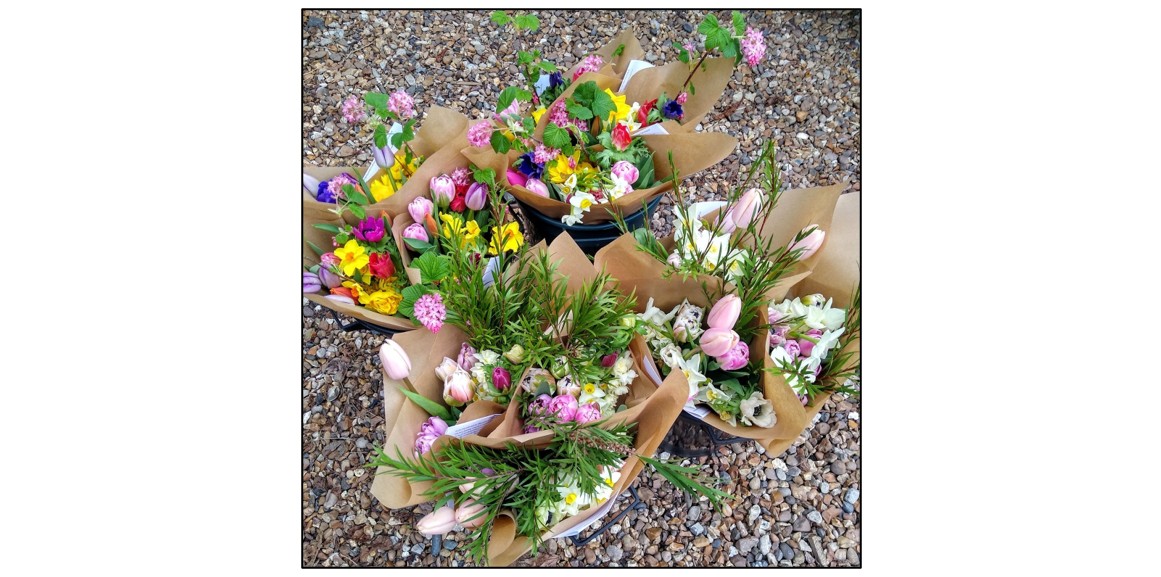 Nature's Posy
