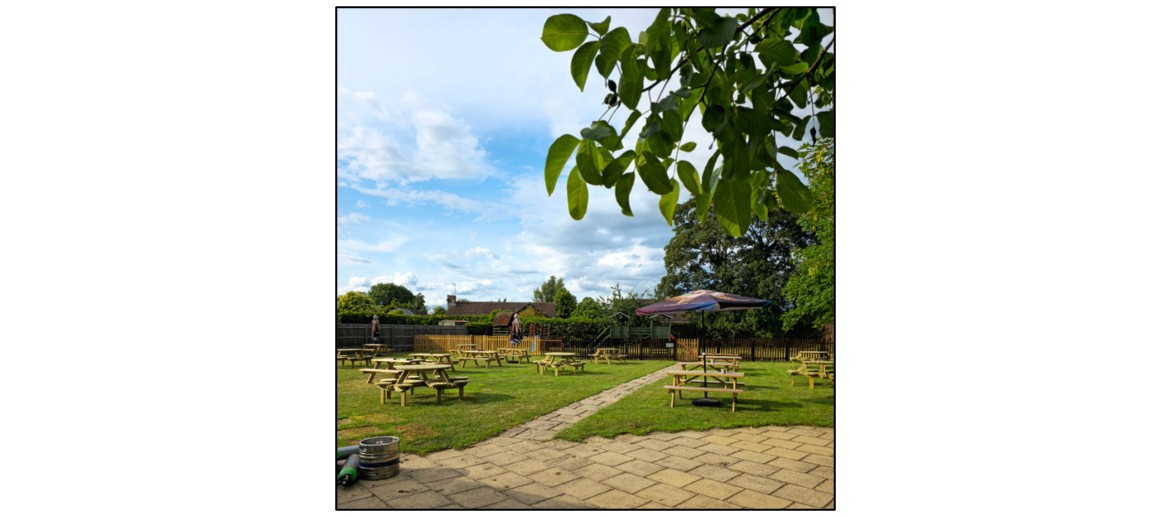 The White Horse  - garden