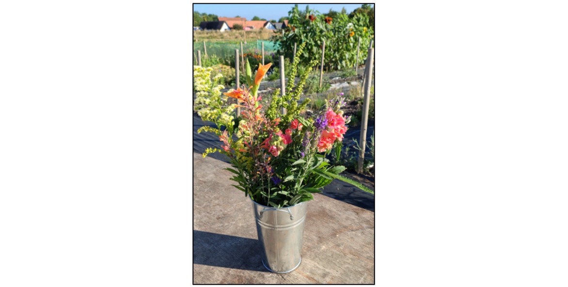 Pick Your Own Flowers with Nature's Posy