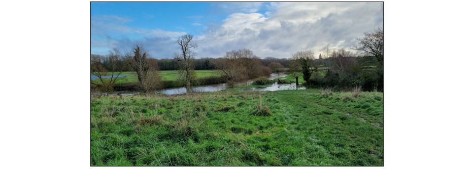 Dawn Chorus Walk