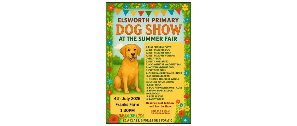 Summer Fair - dog show