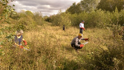Volunteer Outdoor Work Parties at Coton