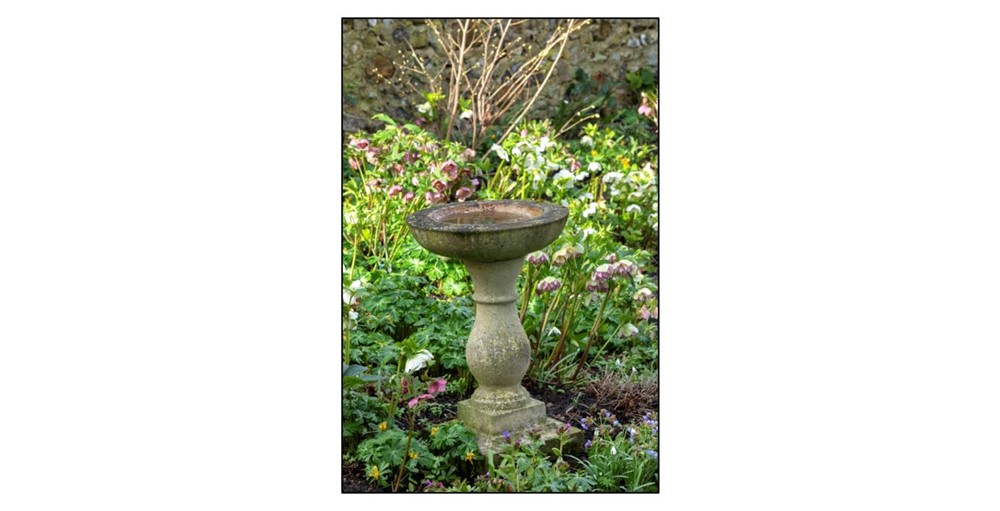 Open Garden at Clover Cottage - bird bath