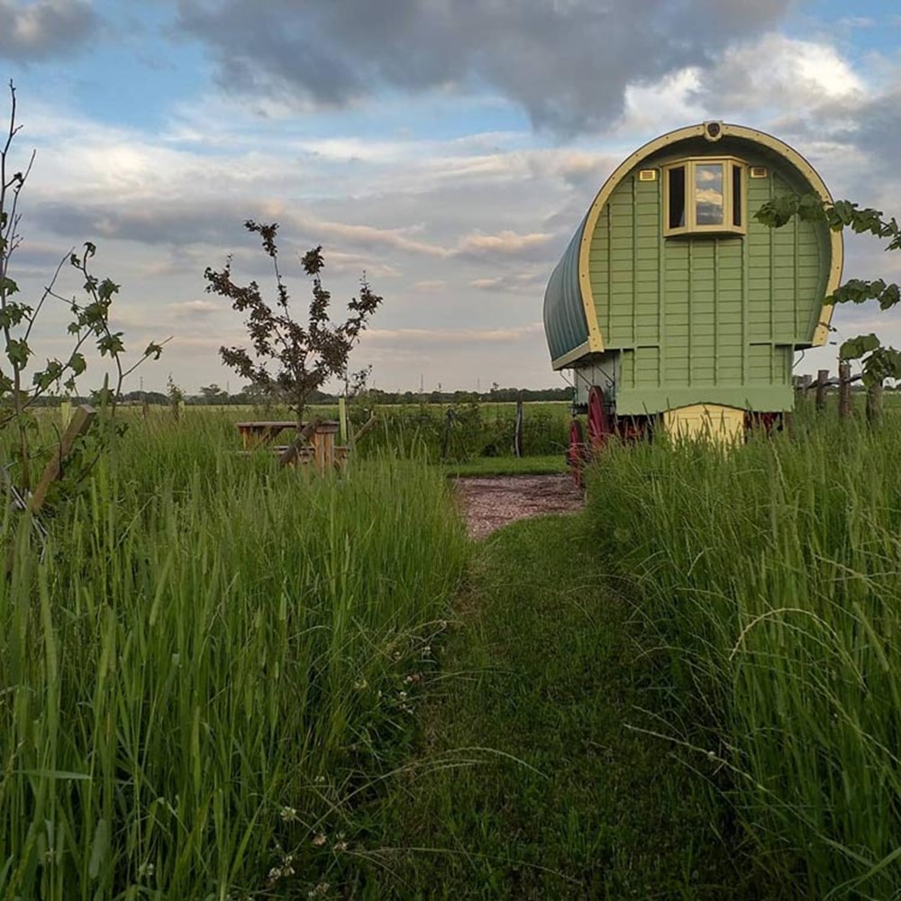 Gayton Farm Campsite and Glamping, Gypsy Caravan
