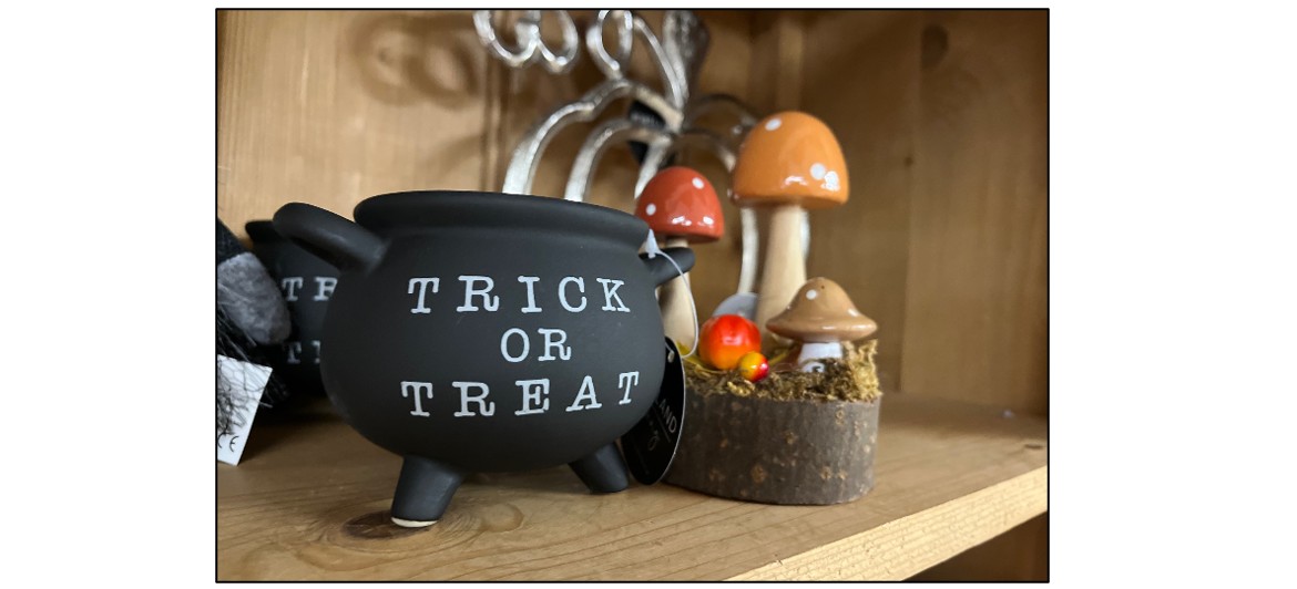 PYO Pumpkins & Halloween Shop