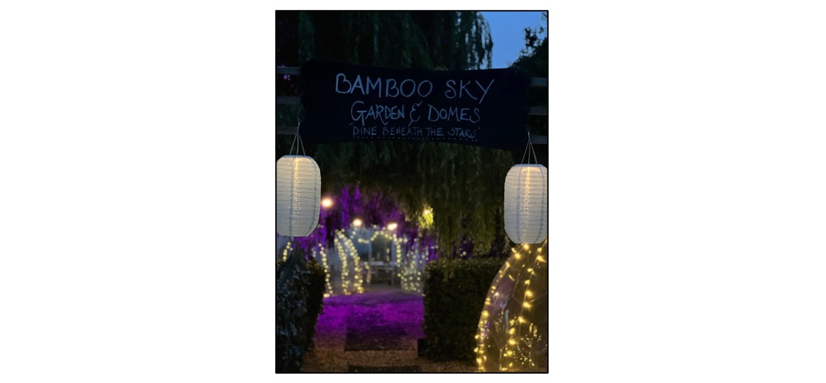 Bamboo Sky - garden domes at night