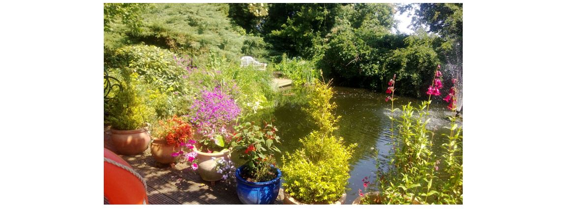 Orchard Pond Bed & Breakfast - pond