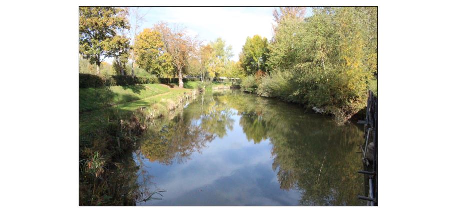 Waterbeach Angling Club - Dodd Water