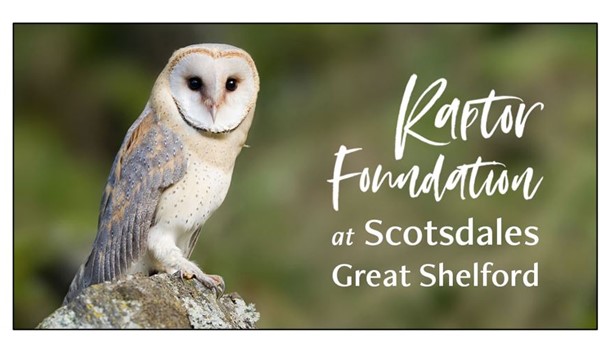 Raptor Foundation at Great Shelford