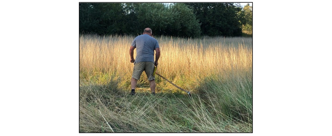 Scything Taster Day