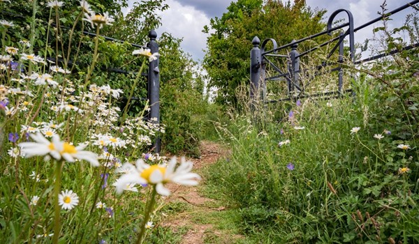 Coton Countryside Reserve