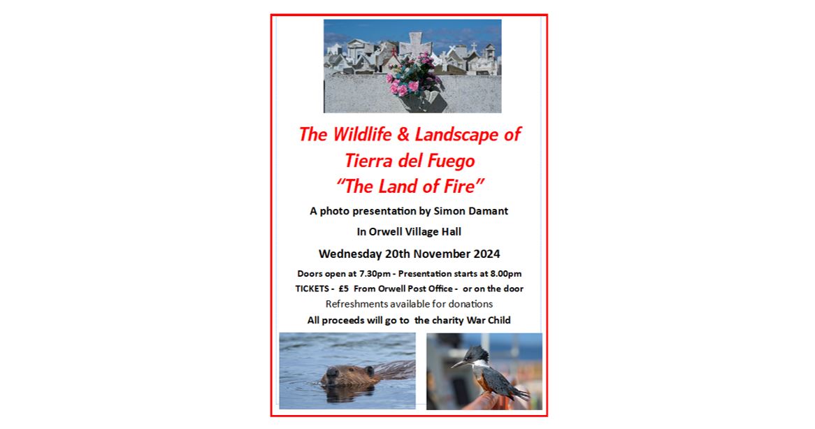 A Photo Presentation -  The Wildlife & Landscape of Tierra del Fuego