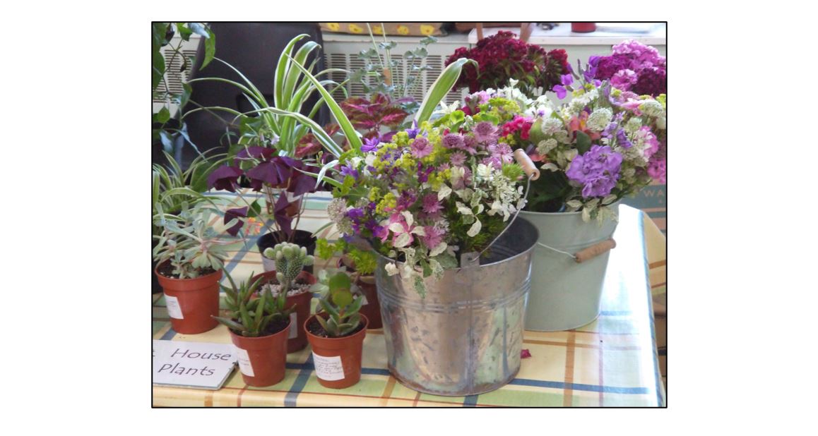 Great Shelford Country Market - Flowers